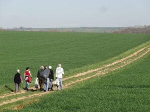 Nettoyage de Printemps