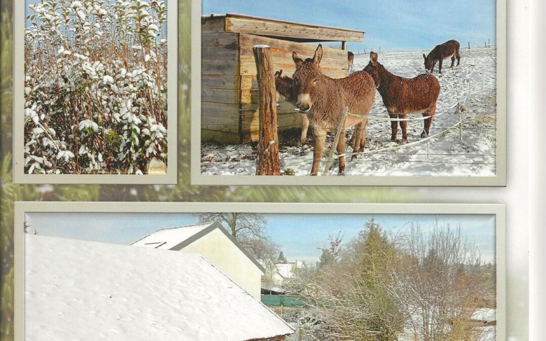 Bulletin municipal N°64 – Janvier 2025