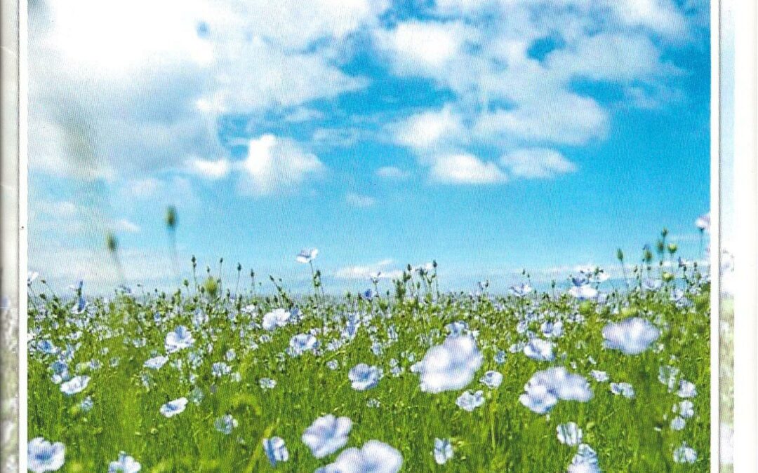 Bulletin municipal N°65 – Juillet 2025