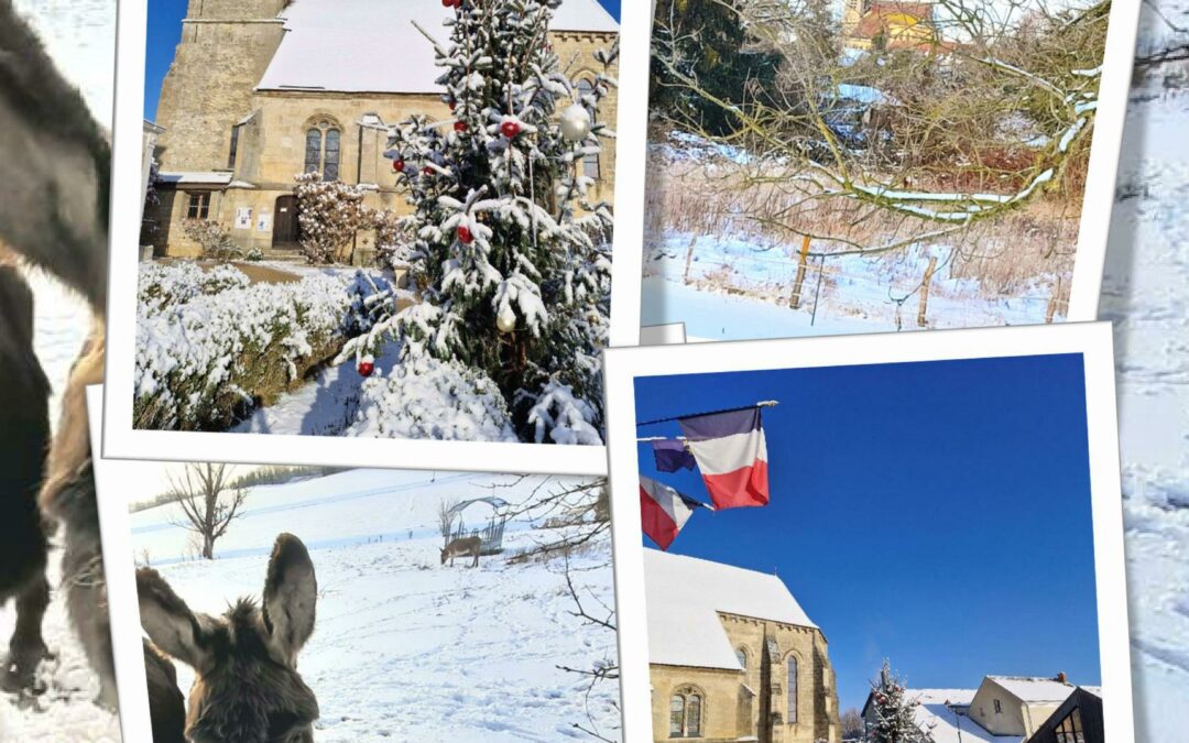 Bulletin municipal N°66 – Janvier 2026