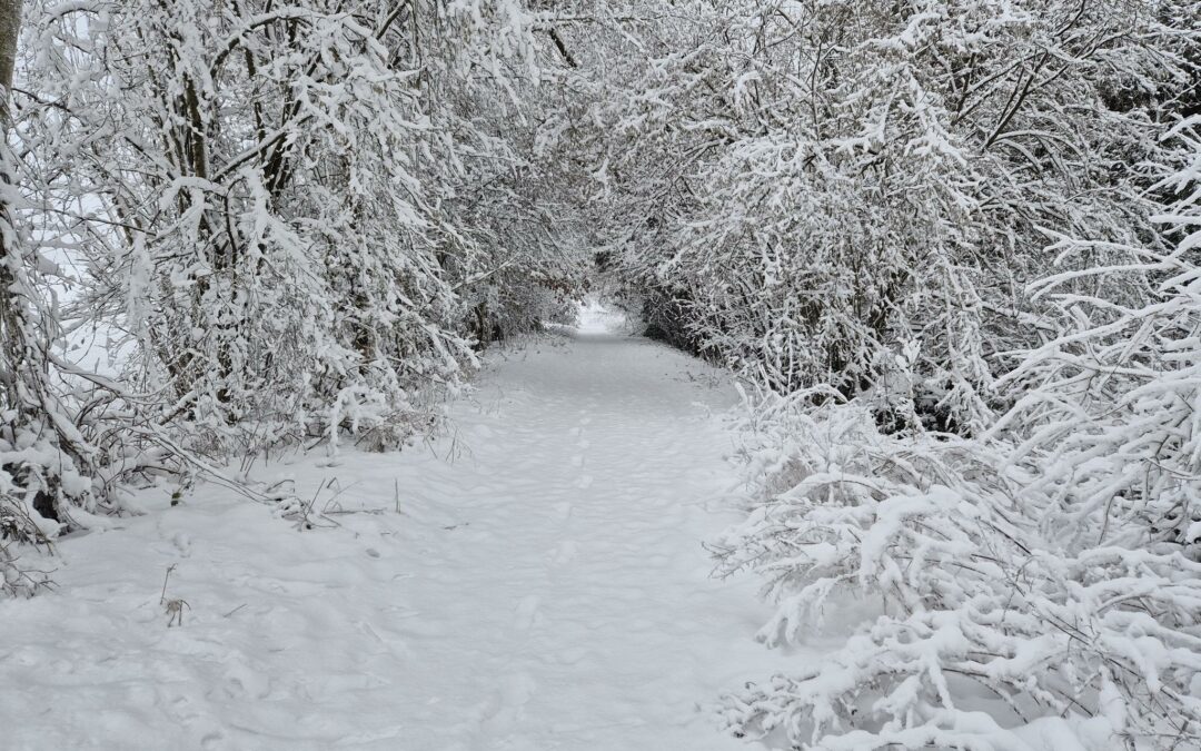 Convocations et PV des conseils municipaux pour l&rsquo;année 2026