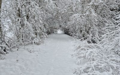 Convocations et PV des conseils municipaux pour l’année 2026